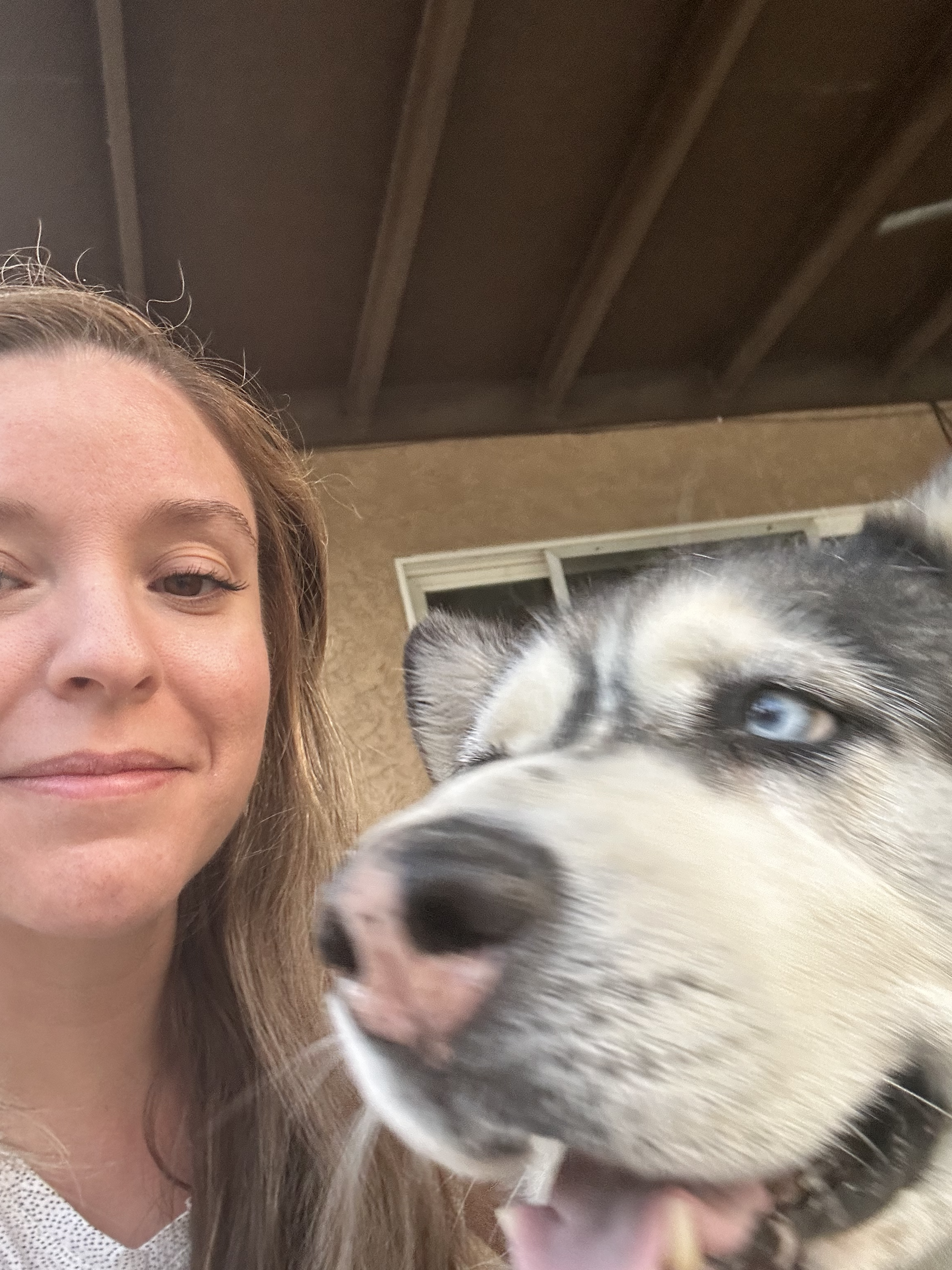 A black and white husky and a woman smiling and posing for a photo.